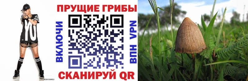 KRAKEN онион  Переславль-Залесский  Галлюциногенные грибы мухоморы  дарнет шоп 